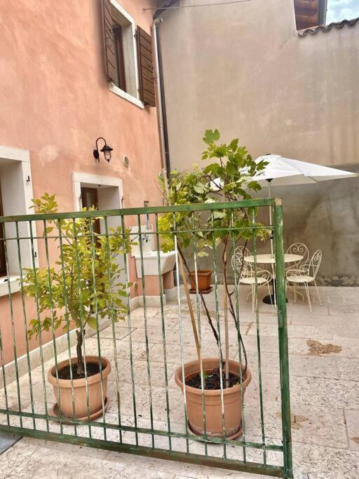 Casa Ca Orsa Vila Cavaion Veronese Exterior foto